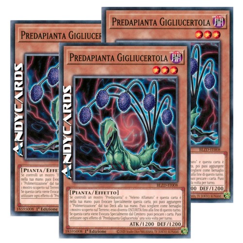 Predapianta gigliucertola - gigliucertola, 3x
