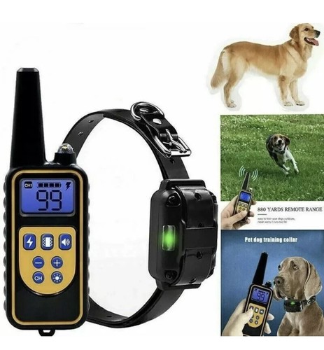 Collare 800m impermeabile - collare,